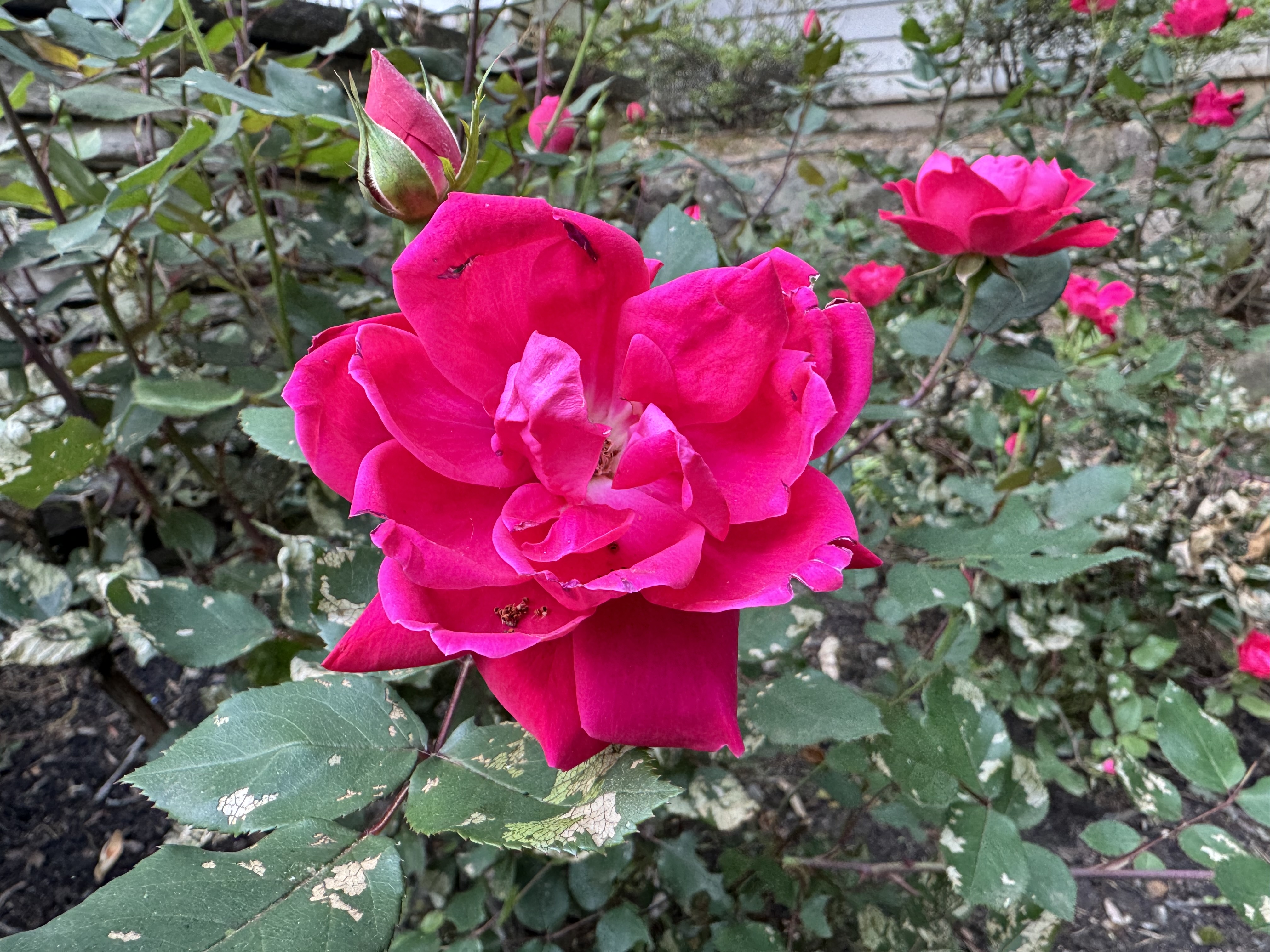 Spring Has Sprung